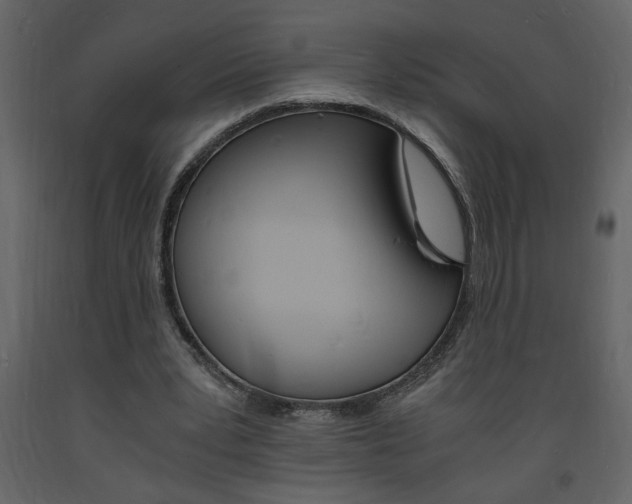X0000094060391200710190938