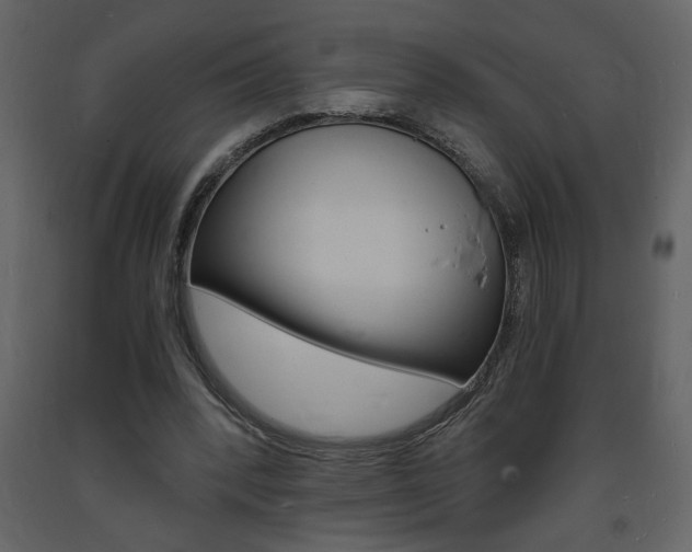 X0000094060392200710190938