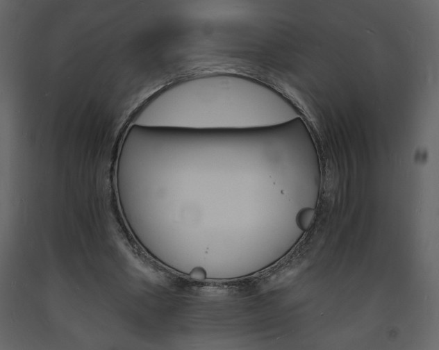 X0000094060394200710190938