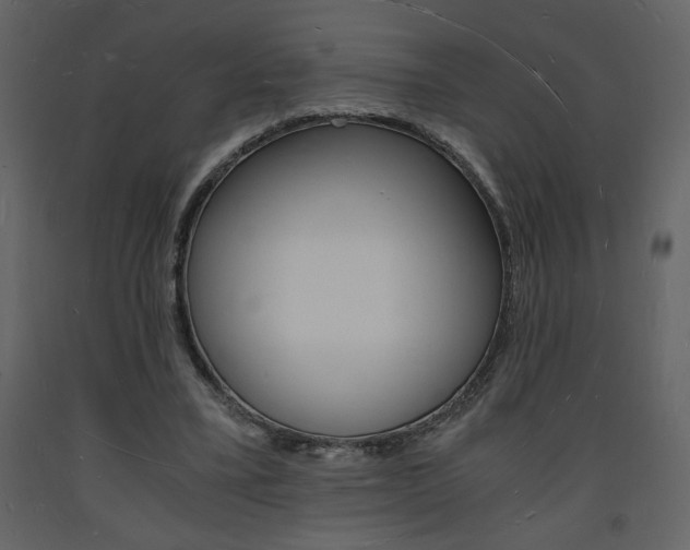 X0000094060395200710190938