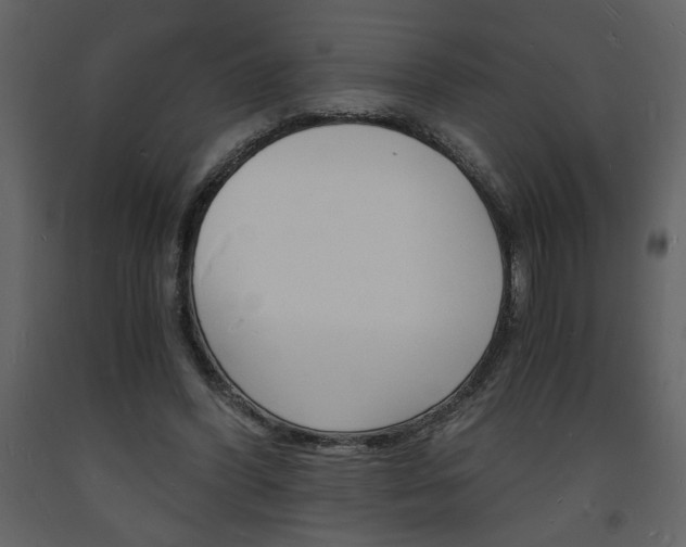X0000094060396200710190938