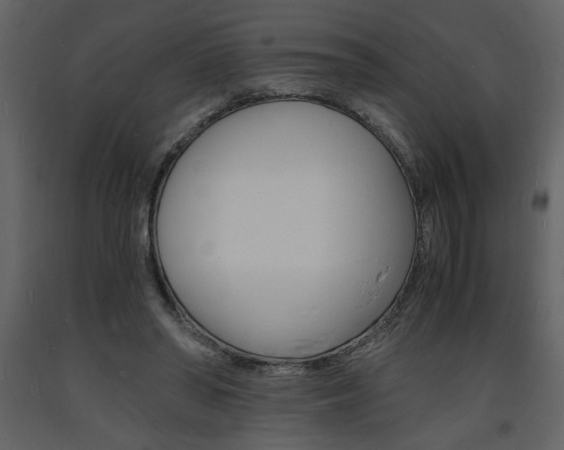 X0000094060398200710190938