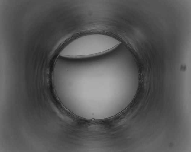 X0000094060400200710190937