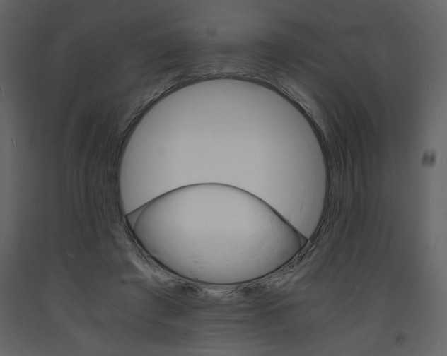 X0000094060401200710190937