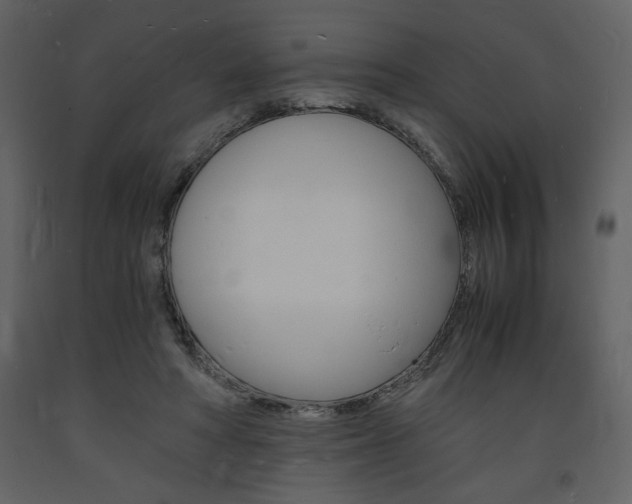 X0000094060402200710190937