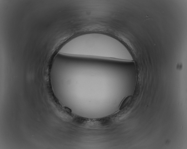 X0000094060403200710190937