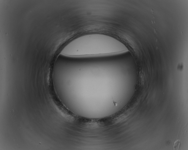 X0000094060404200710190937