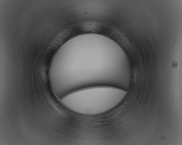 X0000094060408200710190937