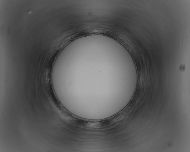 X0000094060410200710190937