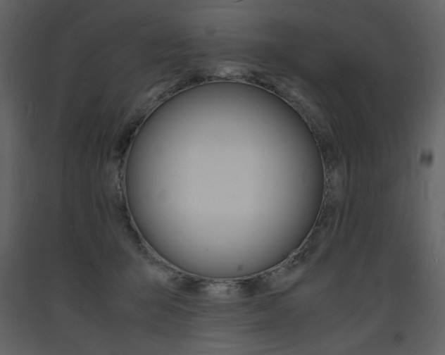 X0000094060415200710190937