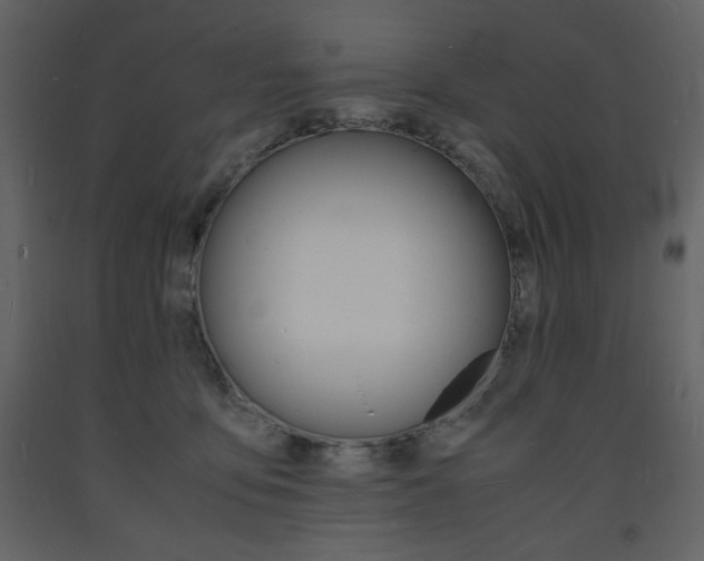 X0000094060419200710190937
