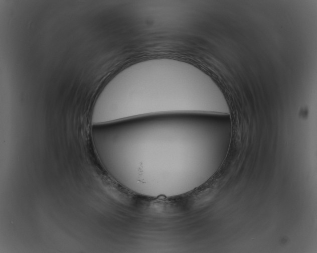 X0000094060420200710190937