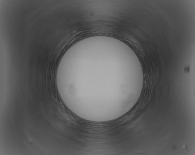 X0000094060421200710190937