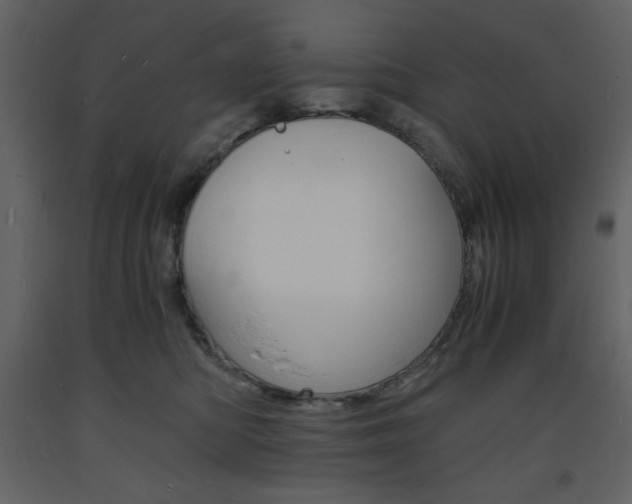 X0000094060422200710190937