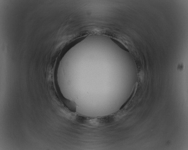 X0000094060423200710190937