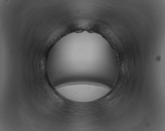 X0000094060424200710190937