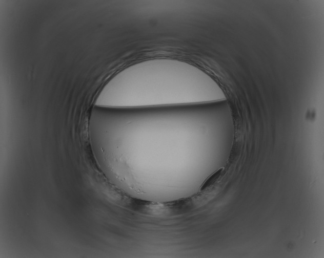 X0000094060425200710190937