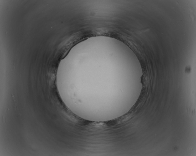 X0000094060427200710190937