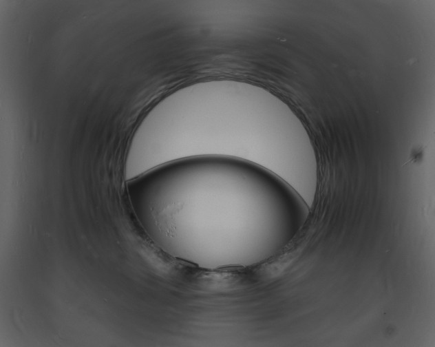X0000094060428200710190937