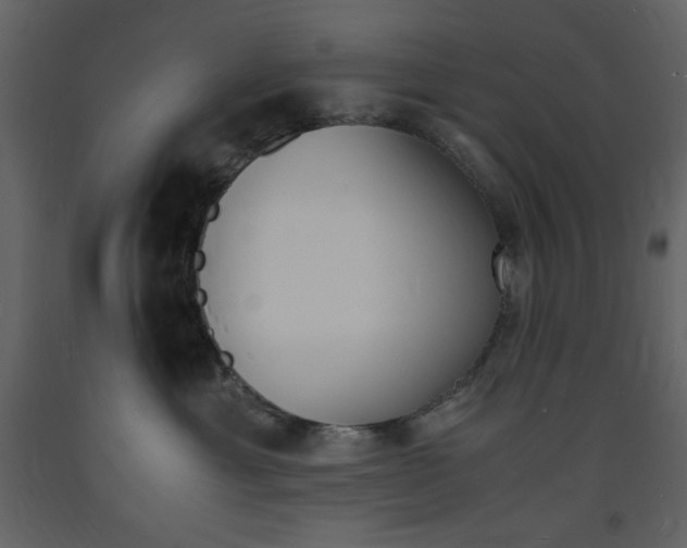 X0000094060429200710190937