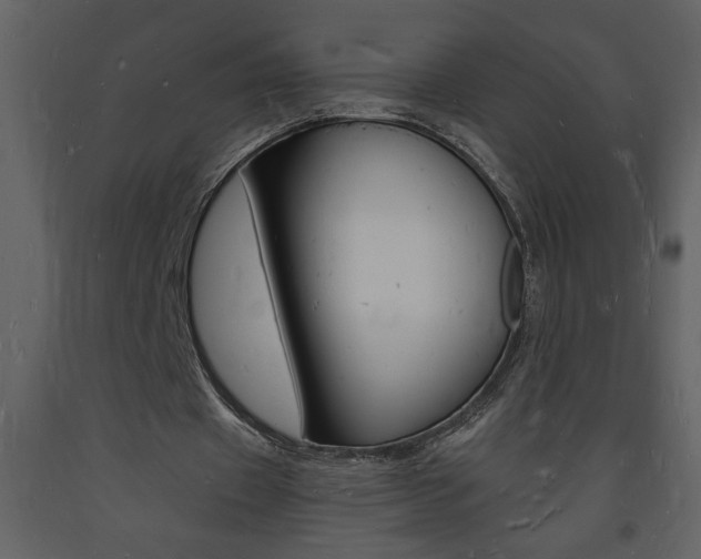 X0000094060433200710190936