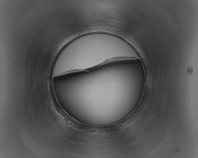 X0000094060434200710190936