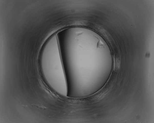 X0000094060435200710190936
