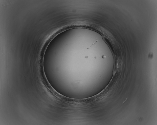 X0000094060436200710190936