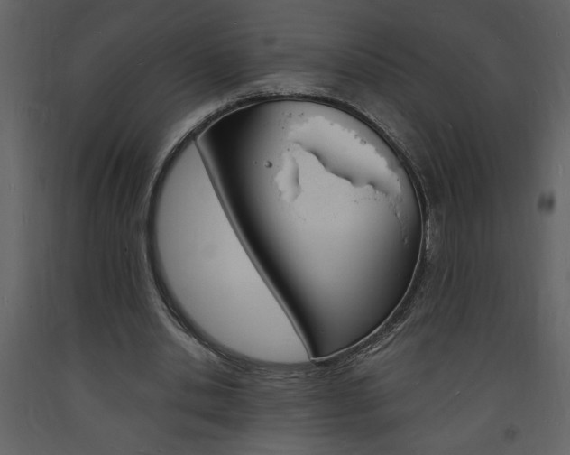 X0000094060438200710190936