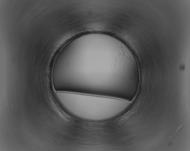 X0000094060439200710190936