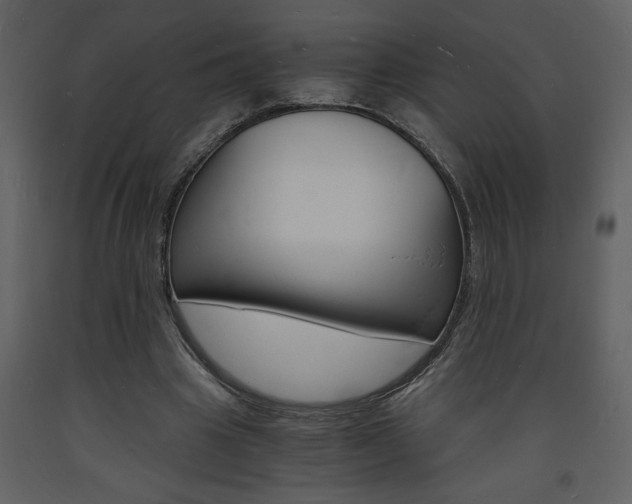 X0000094060441200710190936