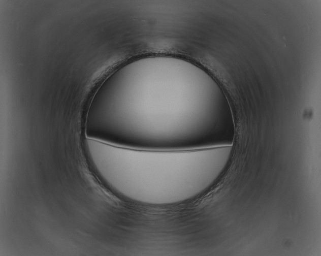 X0000094060442200710190936