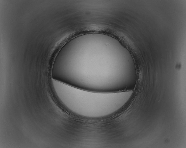 X0000094060444200710190937