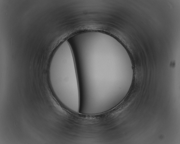 X0000094060445200710190937