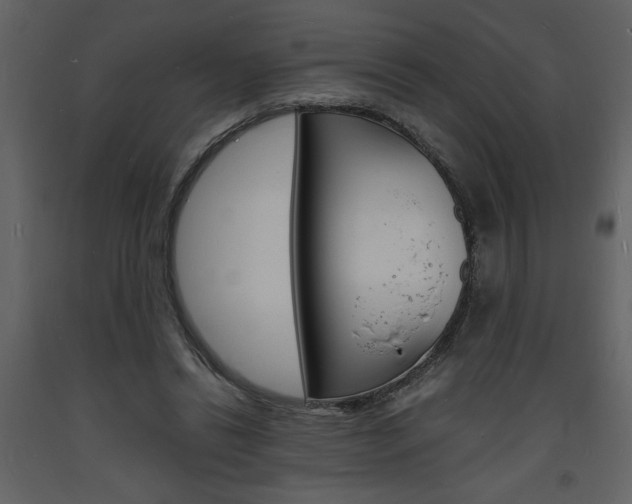 X0000094060446200710190937