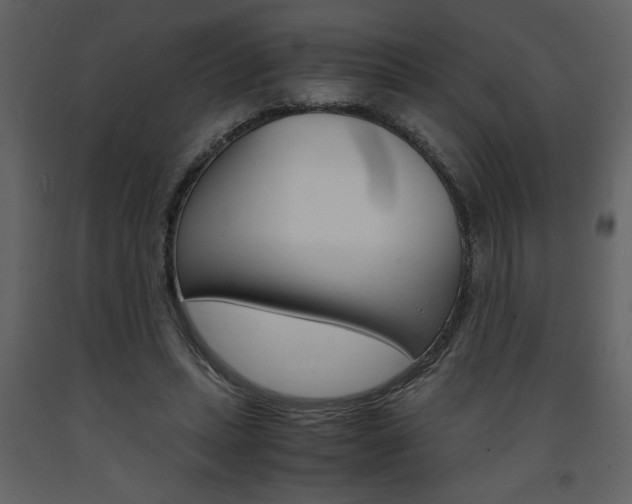 X0000094060447200710190937