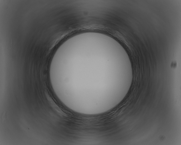 X0000094060448200710190937