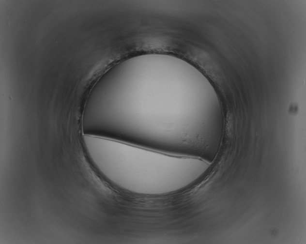X0000094060449200710190937
