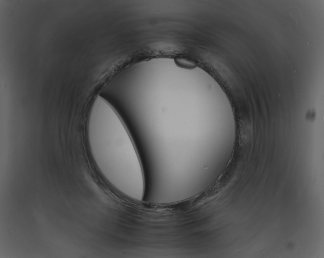 X0000094060451200710190937