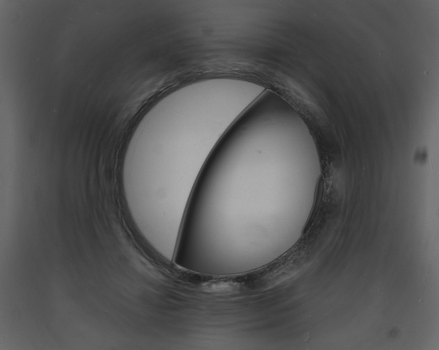 X0000094060452200710190937