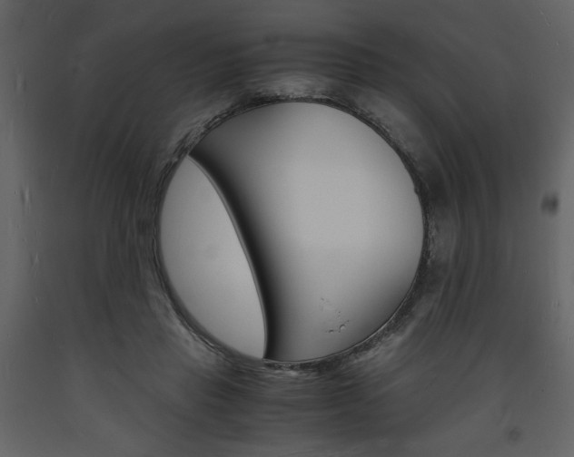 X0000094060453200710190937
