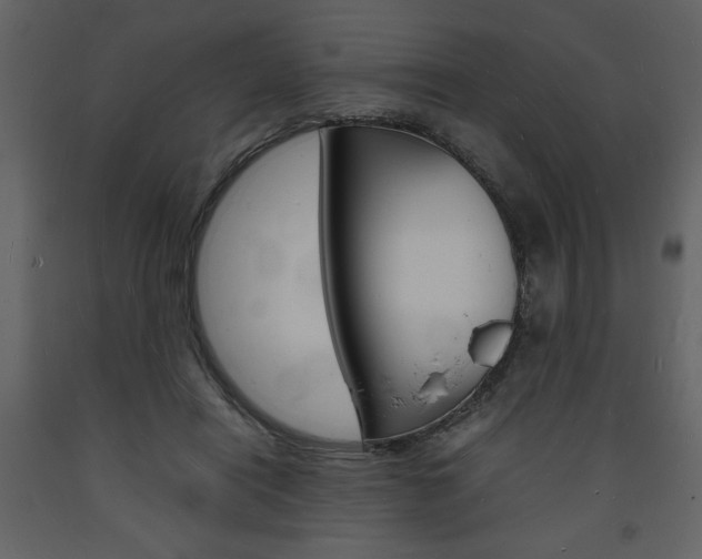 X0000094060454200710190937