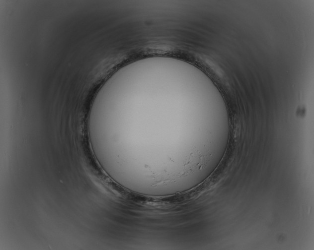 X0000094060455200710190937