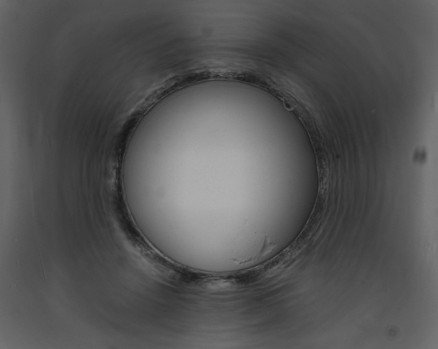X0000094060456200710190937