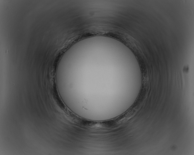 X0000094060460200710190937