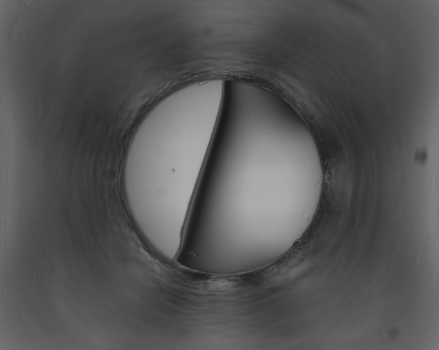 X0000094060462200710190937