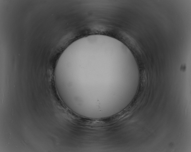 X0000094060463200710190937