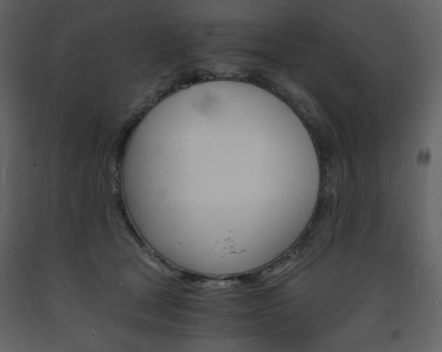 X0000094060465200710190937