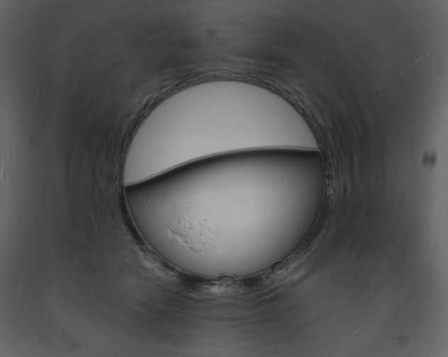 X0000094060466200710190937