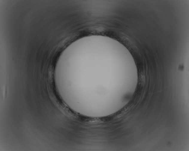 X0000094060468200710190937
